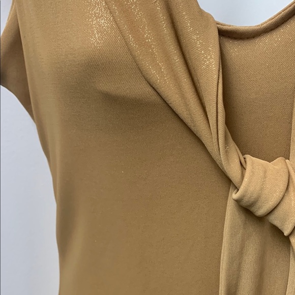 Tan Sheath Dress with Cowl Neck and Tie Front - Picture 4 of 6